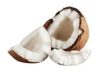 coconut-2675546_1920 (1)